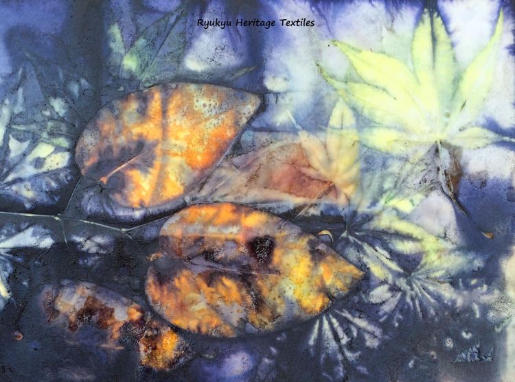 Eco Indigo Borealis II_w